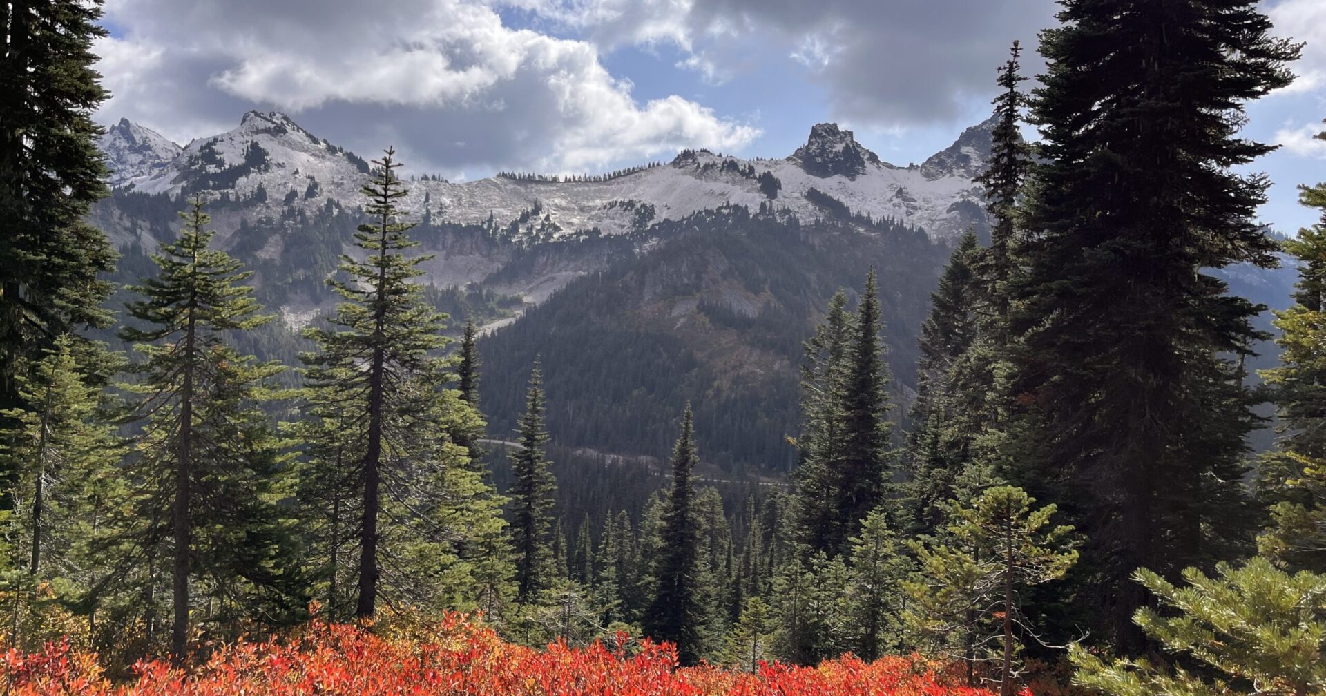 Mt Rainier